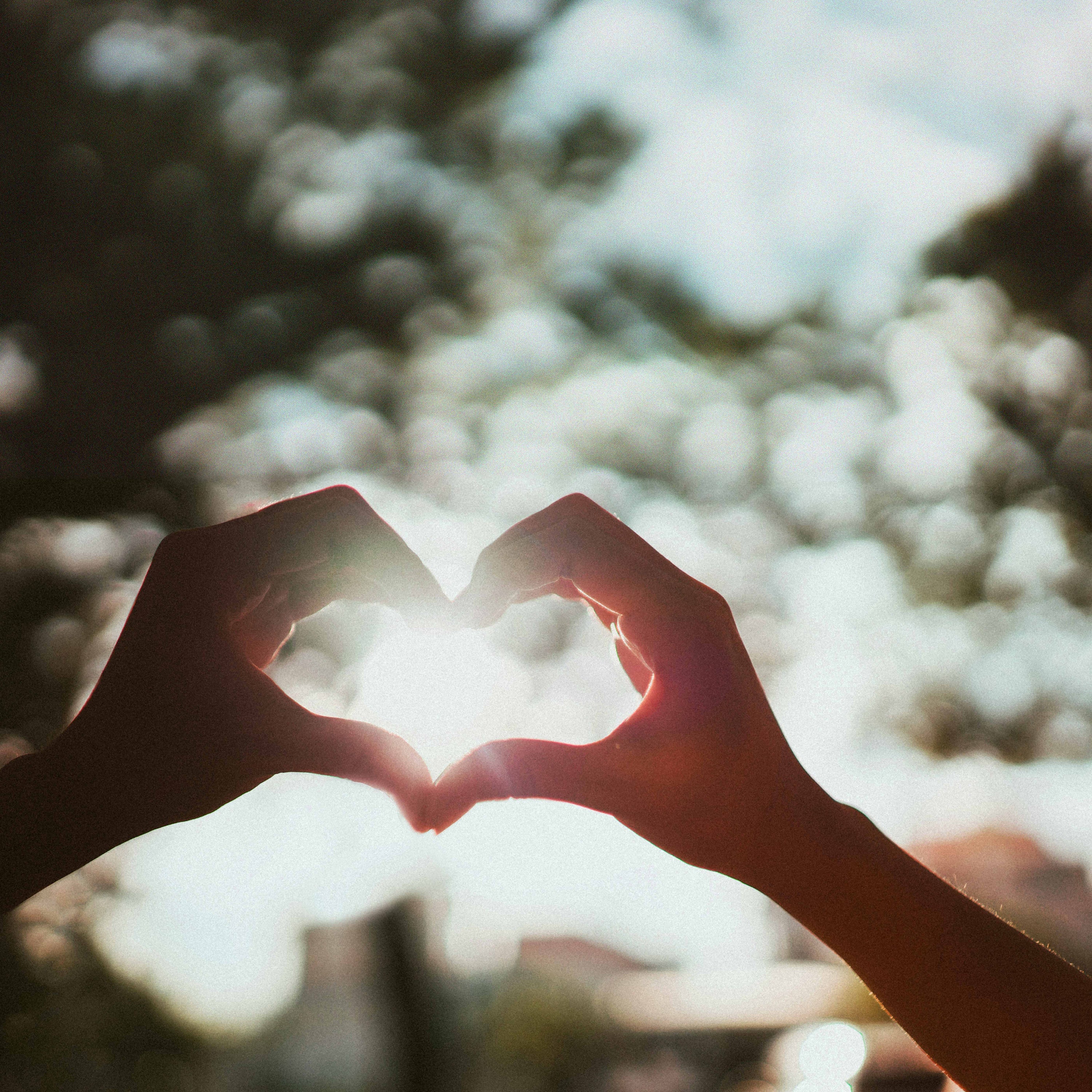 Feel the Scandi love all around on Valentine's Day
