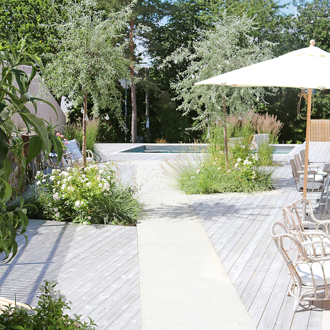 Scandi Gardens special with tips from Annika Zetterman