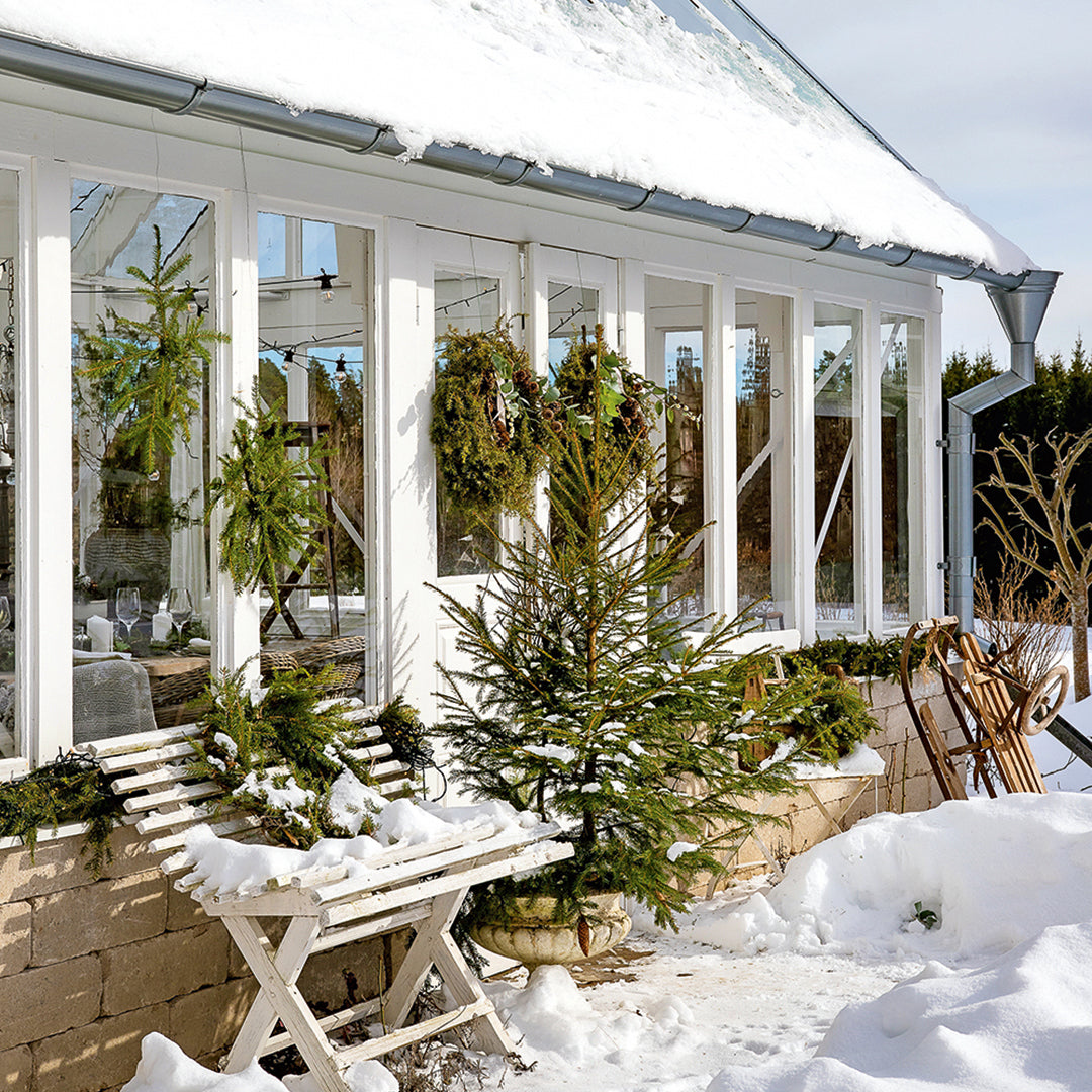 Why we all want a greenhouse to dress for Christmas